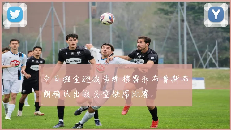 今日掘金迎战黄蜂穆雷和布鲁斯布朗确认出战戈登缺席比赛