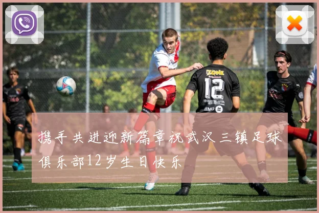 携手共进迎新篇章祝武汉三镇足球俱乐部12岁生日快乐