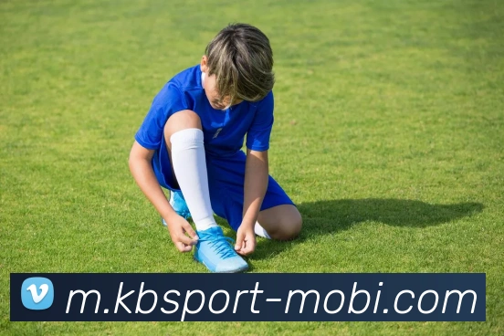 KB体育平台生态图